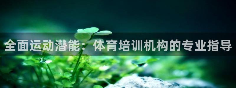 极悦娱乐游戏安全吗：全面运动潜能：体育培训机构的专业