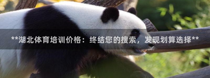极悦娱乐股东：**湖北体育培训价格：终结您的搜索，发