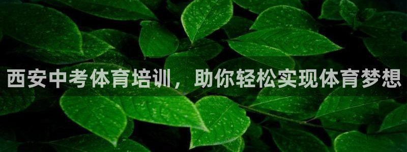 极悦平台用户评价与反馈怎么设置：西安中考体育培训，助