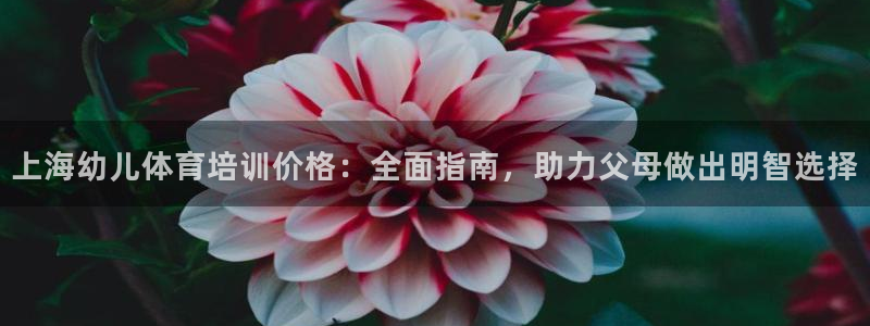 舒客极悦牙膏：上海幼儿体育培训价格：全面指南，助力父