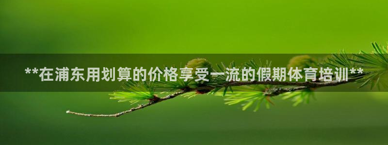 极悦平台注册用户名格式：**在浦东用划算的价格享受一