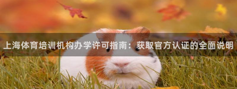极悦官方网站入口网址大全：上海体育培训机构办学许可指