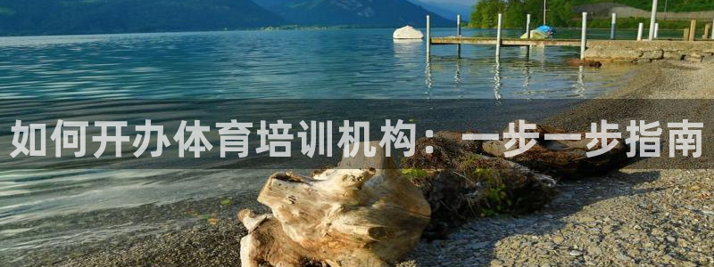 极悦娱乐app官方版本更新内容下载：如何开办体育培训