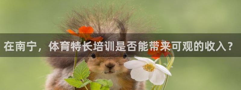 极悦官网首页：在南宁，体育特长培训是否能带来可观的收