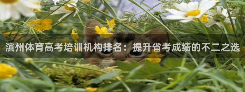 深圳极悦文化传媒有限公司：滨州体育高考培训机构排名：