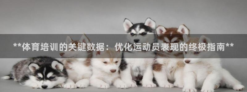 极悦牙膏怎么样好不好：**体育培训的关键数据：优化运