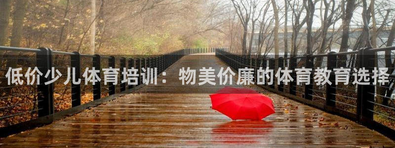 极悦官方网站app下载软件：低价少儿体育培训：物美价