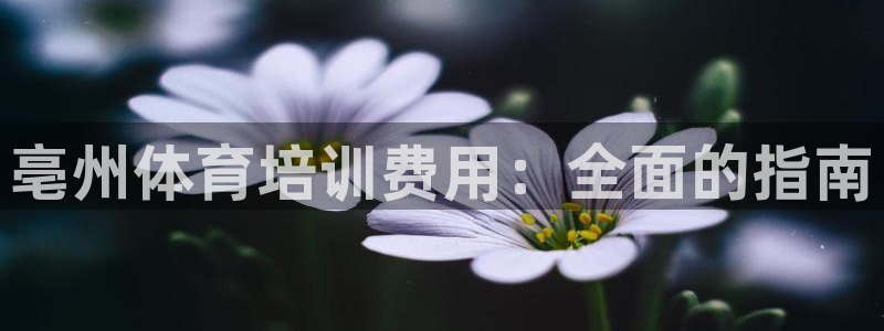 极悦娱乐会被骗吗安全吗：亳州体育培训费用：全面的指南