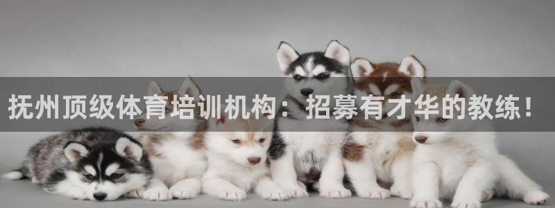 极悦平台是干嘛的软件：抚州顶级体育培训机构：招募有才