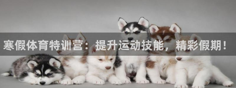 极悦娱乐百科百度：寒假体育特训营：提升运动技能，精彩