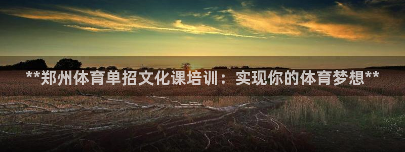 极悦平台注册官网网址：**郑州体育单招文化课培训：实