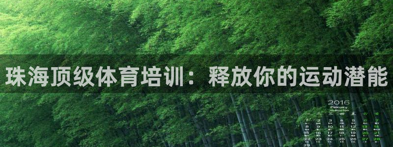 极悦平台是干嘛的公司：珠海顶级体育培训：释放你的运动
