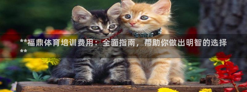 极悦娱乐官网入口下载：**福鼎体育培训费用：全面指南