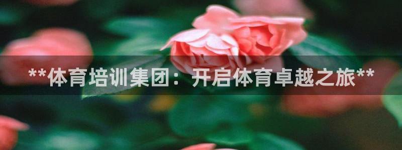极悦平台是什么平台的：**体育培训集团：开启体育卓越