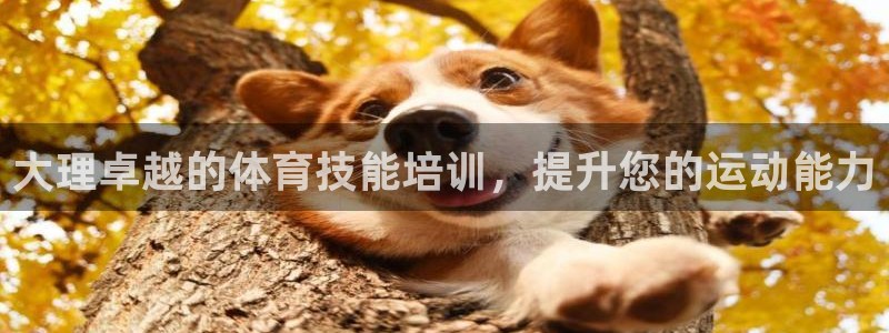 极悦牙膏好吗：大理卓越的体育技能培训，提升您的运动能