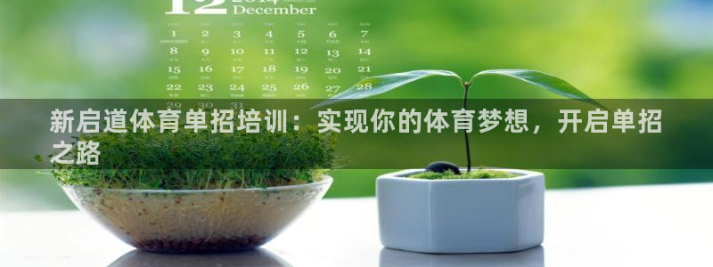极悦娱乐贴吧官网：新启道体育单招培训：实现你的体育梦