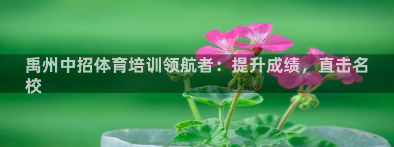 加盟极悦教育：禹州中招体育培训领航者：提升成绩，直击