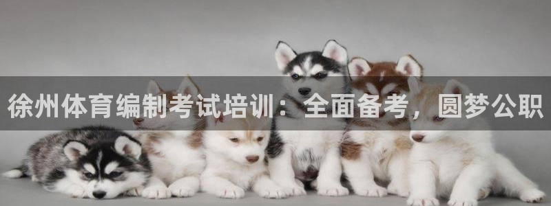 极悦娱乐贴吧百度：徐州体育编制考试培训：全面备考，圆