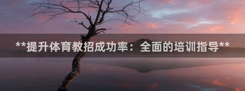 极悦平台客服团队：**提升体育教招成功率：全面的培训