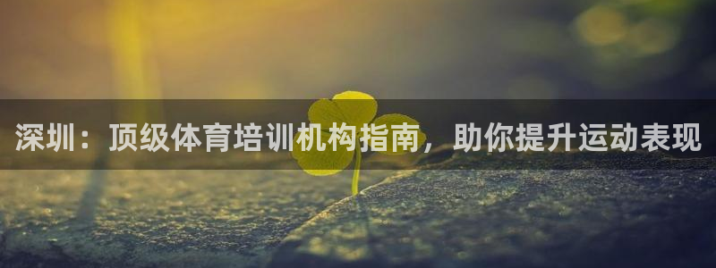极悦平台用户反馈和反馈：深圳：顶级体育培训机构指南，