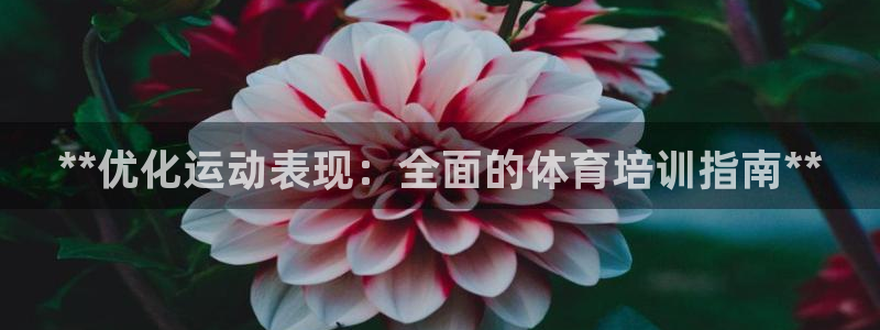 极悦官网入口登录网址：**优化运动表现：全面的体育培