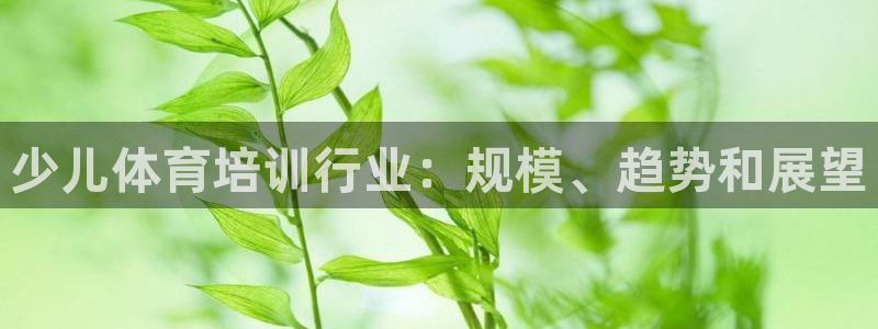 极悦娱乐游戏中心：少儿体育培训行业：规模、趋势和展望