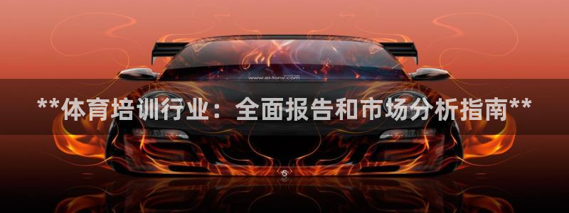 极悦平台官方网站入口：**体育培训行业：全面报告和市