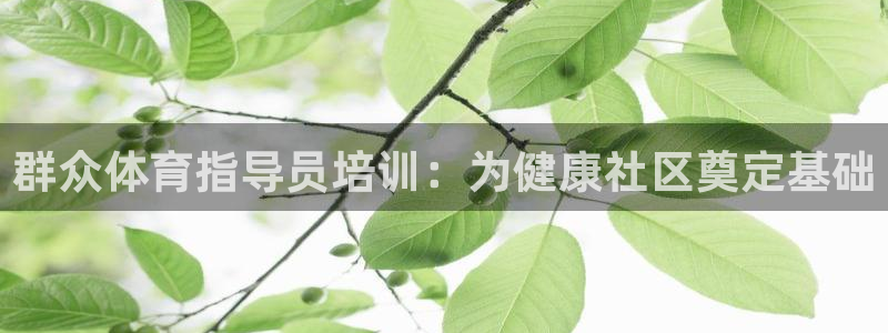 极悦平台：群众体育指导员培训：为健康社区奠定基础