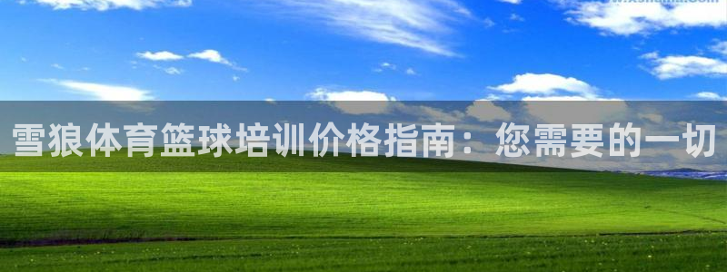 极悦平台代理怎么样：雪狼体育篮球培训价格指南：您需要