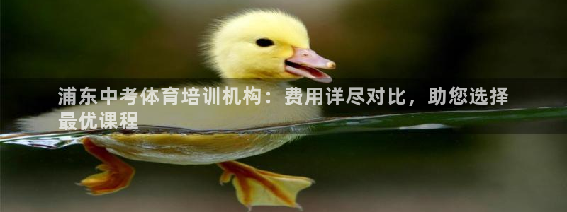 极悦平台代理怎么样：浦东中考体育培训机构：费用详尽对