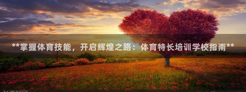 加盟极悦教育怎么样：**掌握体育技能，开启辉煌之路：