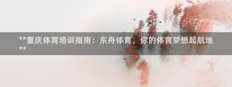 极悦平台用户评价在哪里看：**重庆体育培训指南：东舟