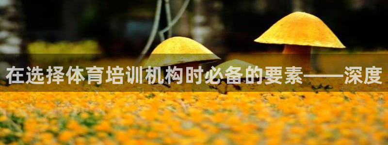 极悦平台很7O777：在选择体育培训机构时必备的要素