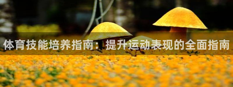 极悦平台与网易合作详情在哪：体育技能培养指南：提升运