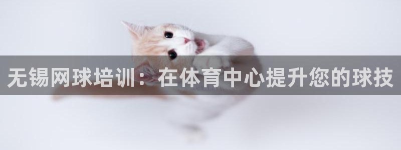 极悦平台使用注意事项：无锡网球培训：在体育中心提升您