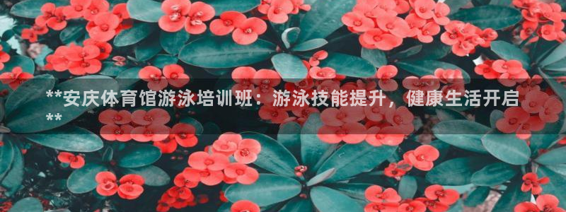 极悦官网旗舰店电话：**安庆体育馆游泳培训班：游泳技