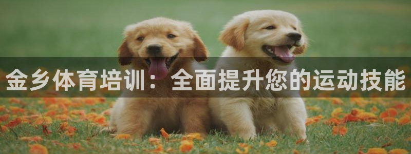 极悦娱乐官网入口网站：金乡体育培训：全面提升您的运动