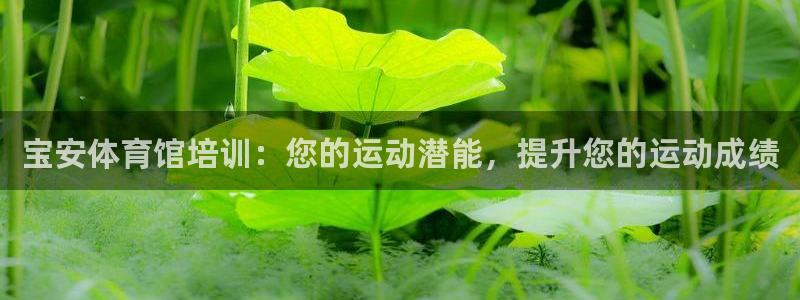 极悦平台使用教程图解：宝安体育馆培训：您的运动潜能，