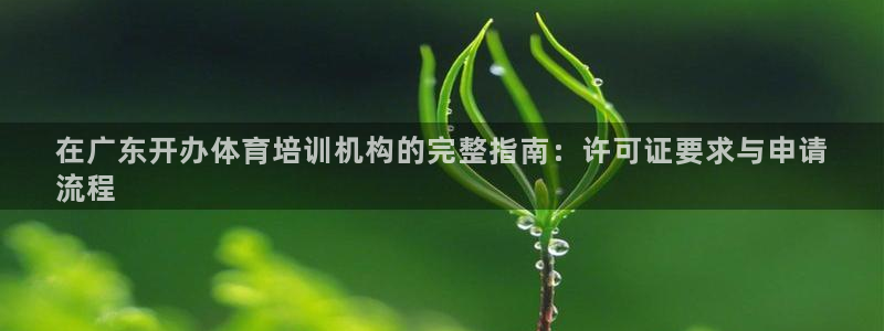 极悦平台是正规平台吗安全吗可靠吗：在广东开办体育培训