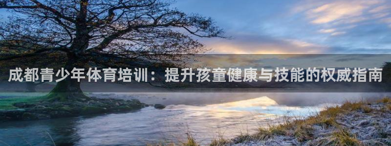极悦平台客服团队怎么样：成都青少年体育培训：提升孩童