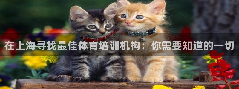 极悦平台注册申请流程详解图：在上海寻找最佳体育培训机