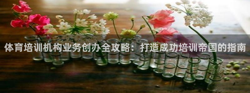 极悦平台客服的联系方式是什么：体育培训机构业务创办全