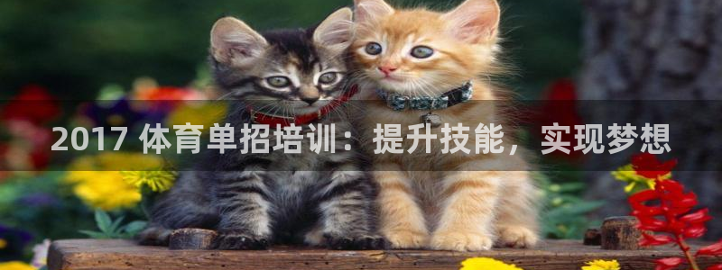 极悦官网首页：2017 体育单招培训：提升技能，实现