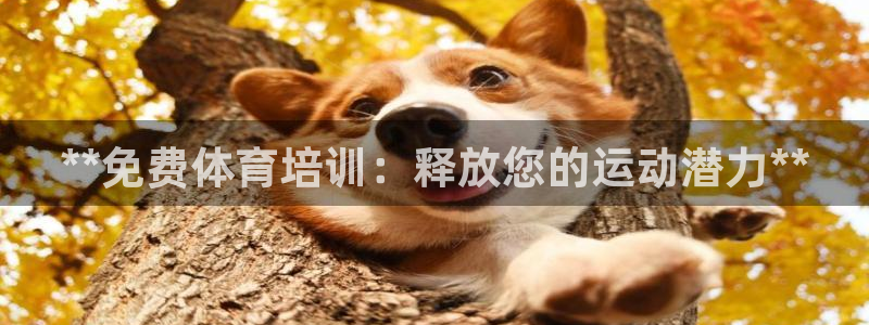 极悦平台是什么：**免费体育培训：释放您的运动潜力*