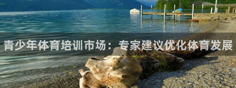 极悦平台注册用户名生成器下载：青少年体育培训市场：专