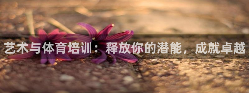 极悦娱乐成7O777：艺术与体育培训：释放你的潜能，