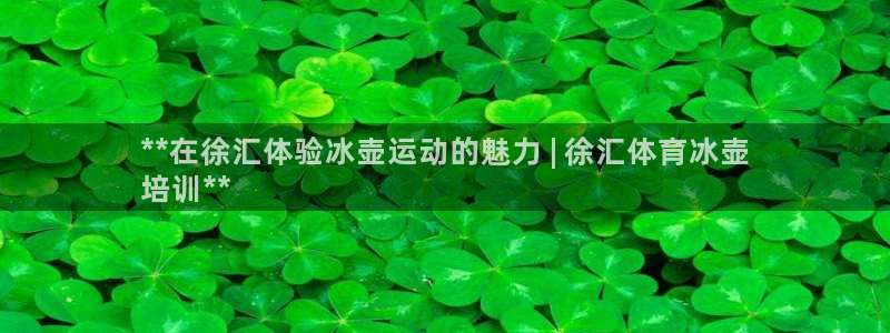 极悦平台官方网站登录网址：**在徐汇体验冰壶运动的魅