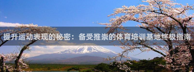 极悦平台代理：提升运动表现的秘密：备受推崇的体育培训
