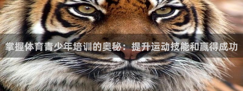 极悦平台保7O777：掌握体育青少年培训的奥秘：提升