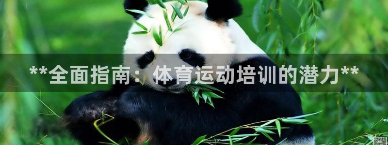 极悦平台德711.112的更新内容：**全面指南：体